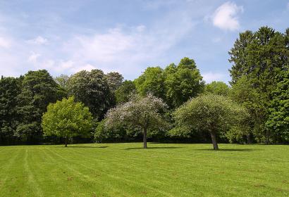Arboretum - Monceau-sur-Sambre